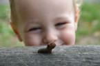 Дружок. «Мой 3-летний сынишка Чарли, - рассказывает автор фото Blake Zickefoose, - подружился с этой гусеницей и называл ее не иначе, как Червячок-Собачка». 